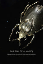 Goliath Beetle — Lacquer Brooch