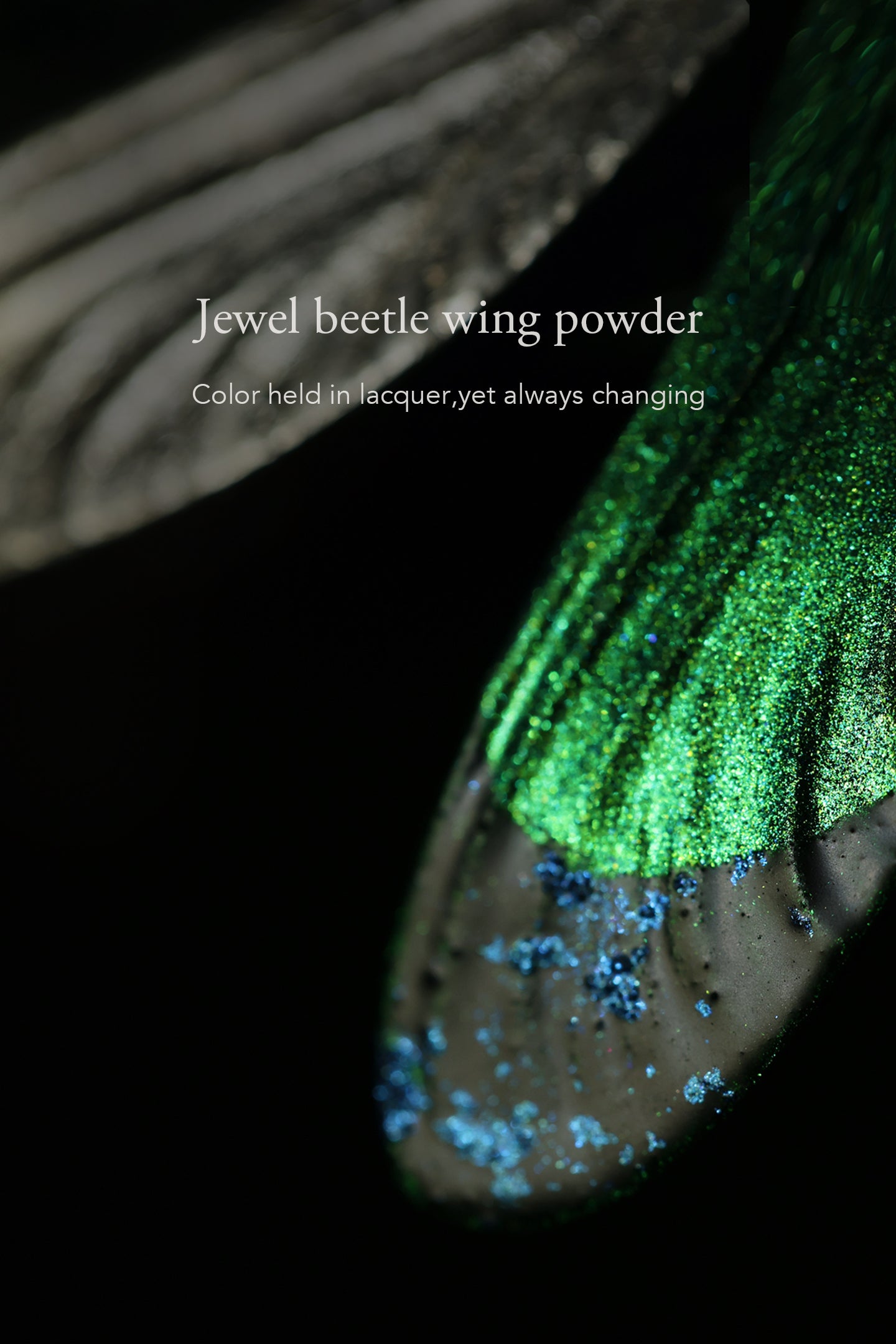 Damselfly — Silver Lacquer Brooch